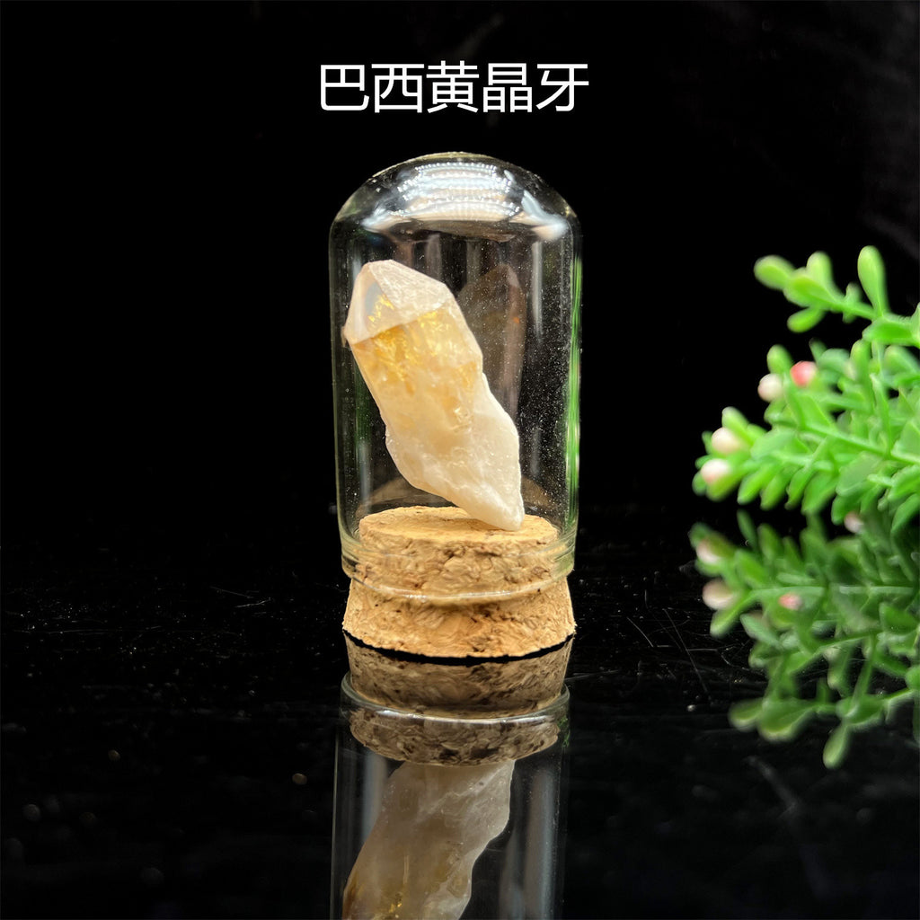36-Piece Natural Mineral & Crystal Rock Collection